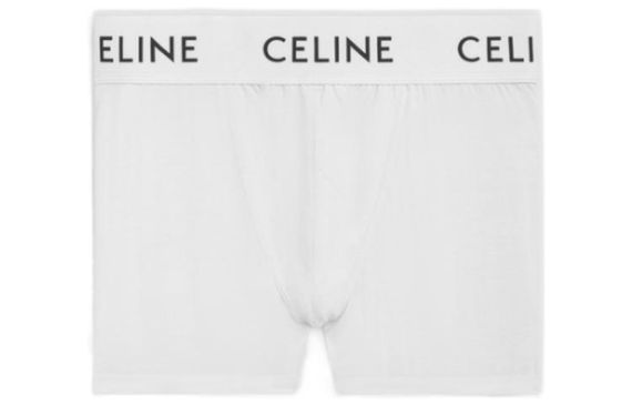 CELINE FW22 Logo 1