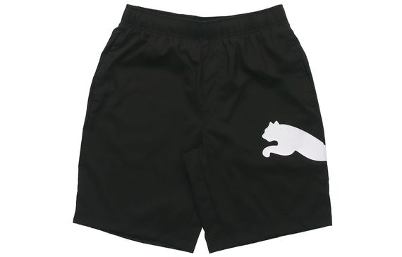 Puma Ess Logo