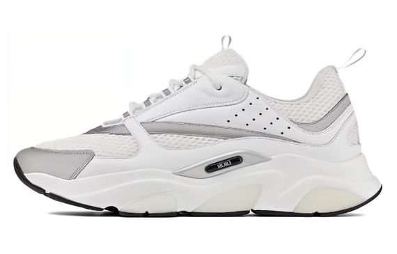 DIOR B22
