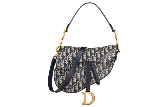 DIOR Saddle