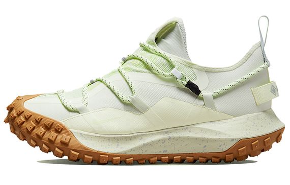 Nike ACG Mountain Fly Low GTX SE