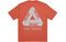 Arcteryx x PALACE PLACE ARC'TERYX Logo T