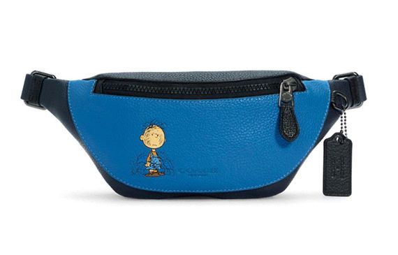 COACH X Peanuts Warren 29 Snoopy