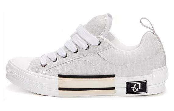 DIOR B23 Oblique