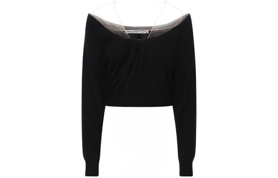 Alexander wang