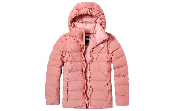 THE NORTH FACE Logo 550