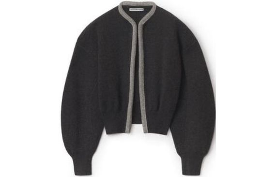 Alexander wang FW22