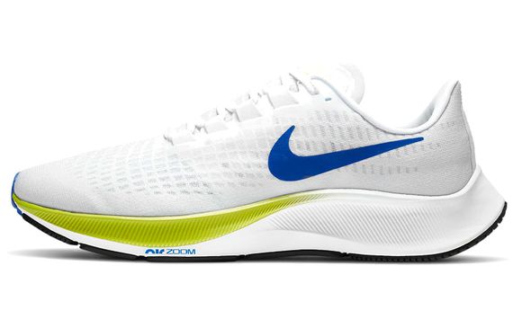 Nike Pegasus 37 Air Zoom/React TPU