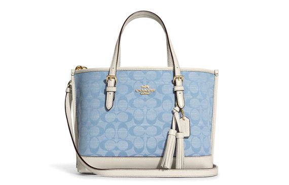 COACH Mollie 25 Tote