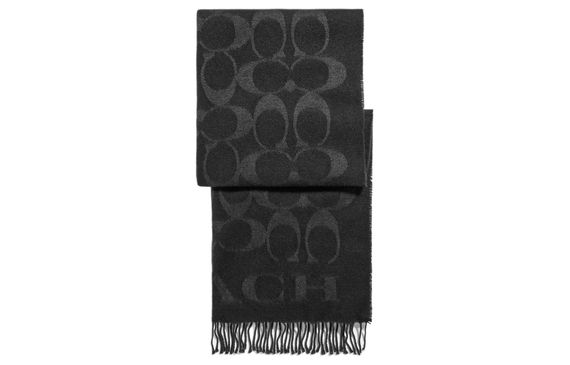 COACH Signature C