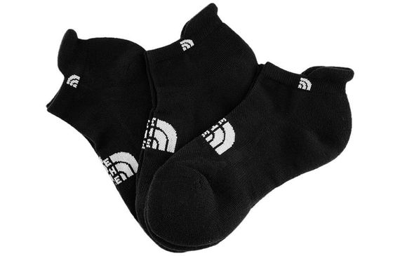 THE NORTH FACE Logo 3