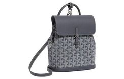 GOYARD Alpine