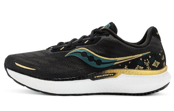 Saucony Triumph 19