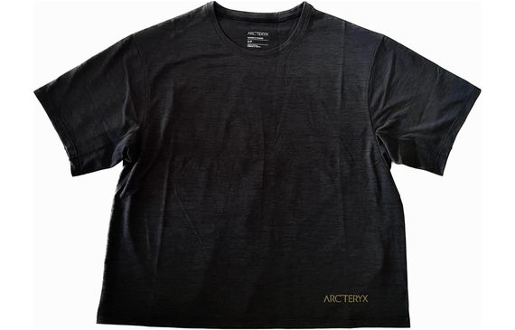 Arcteryx Taema taema crop arc’logo Logo T