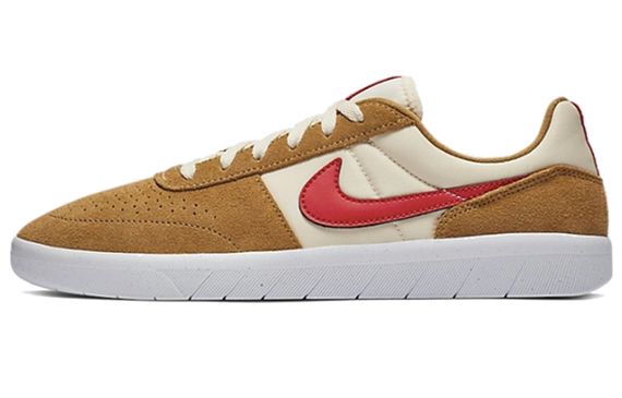 Nike SB Team Classic