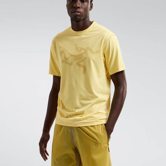 Arcteryx SYSTEM_A drop 06 Tyjax SS Logo T