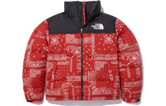 /THE NORTH FACE Logo