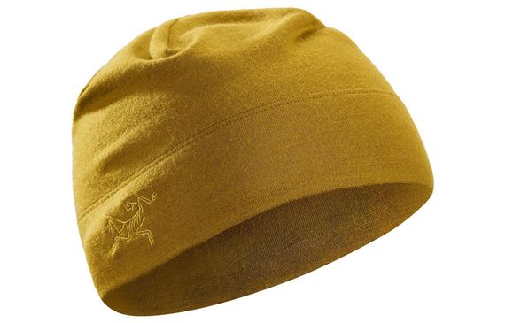 Arcteryx Logo