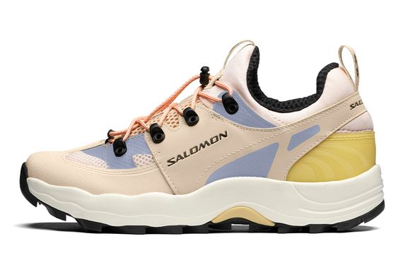 Salomon Raid Wind