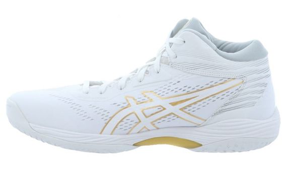 Asics Gel-Hoop V14