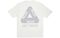 Arcteryx x PALACE PLACE ARC'TERYX Logo T