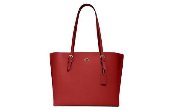 COACH Mollie 34 Tote