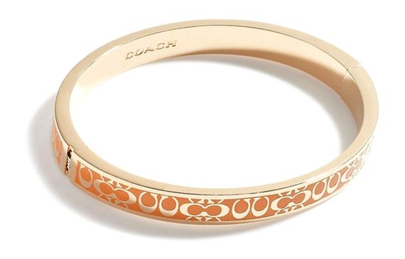 COACH Signature C /