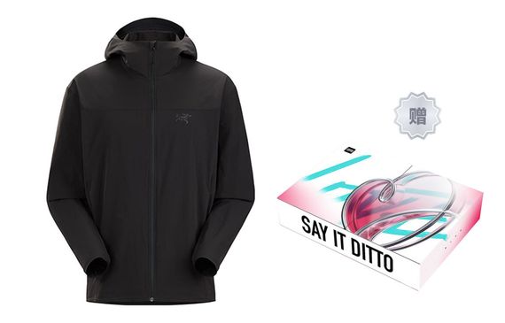 Arcteryx GAMMA lightweight hoody Logo