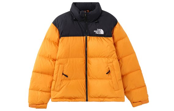 THE NORTH FACE 1996 Logo 700