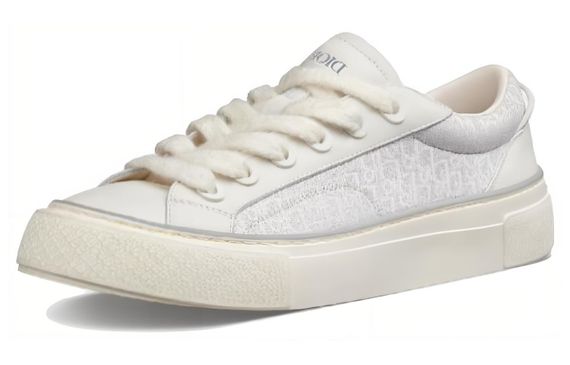 DIOR B33