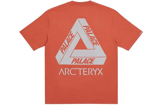 Arcteryx x PALACE PLACE ARC'TERYX Logo T
