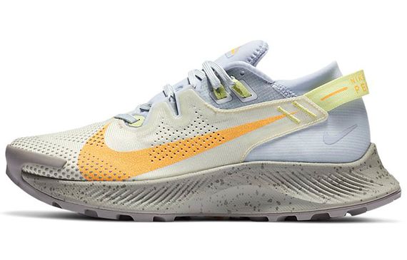Nike Pegasus Trail 2