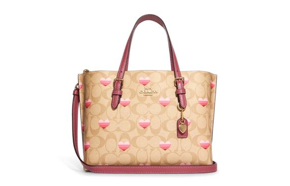 COACH Mollie Tote25 Tote