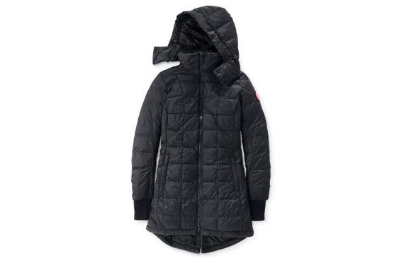 Canada Goose