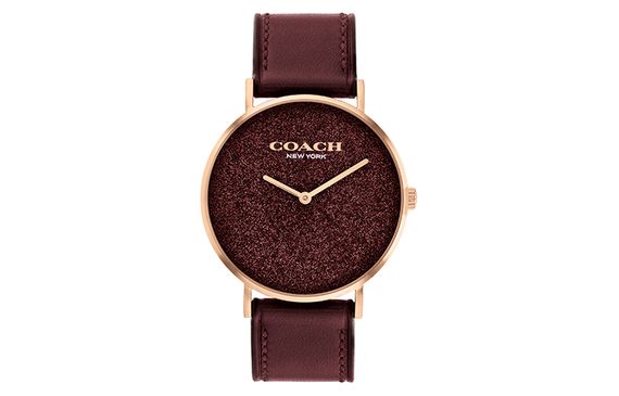 COACH PERRY 14504079