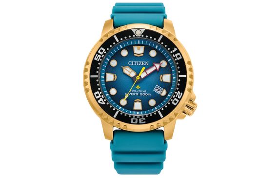 CITIZEN Promaster 200 PU 44mm BN0162-02X