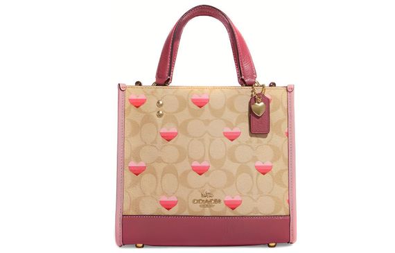 COACH Dempsey 22 Tote