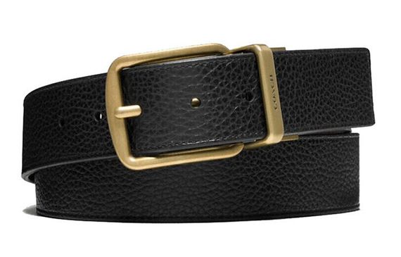 COACH 3.8cm
