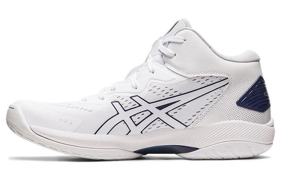 Asics Gel-Hoop V15