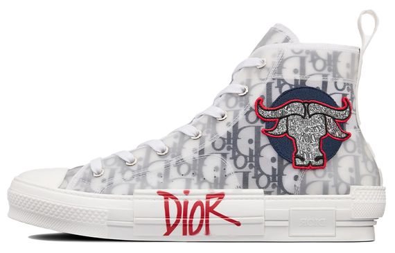 DIOR B23