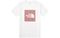 THE NORTH FACE FlashDry Box Logo T