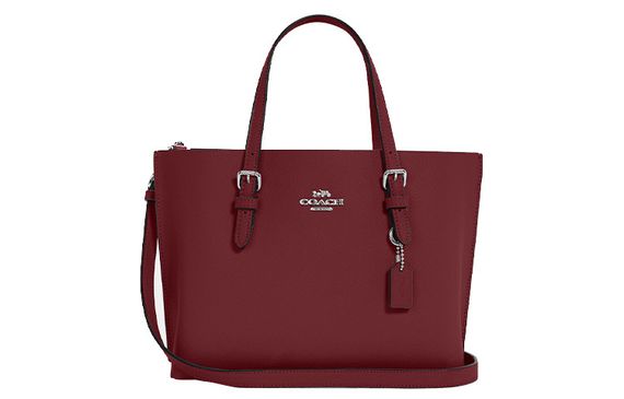 COACH Mollie 25 Tote