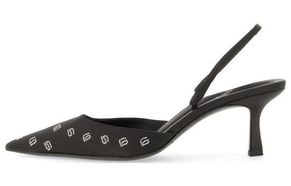 Alexander wang Delphine 65