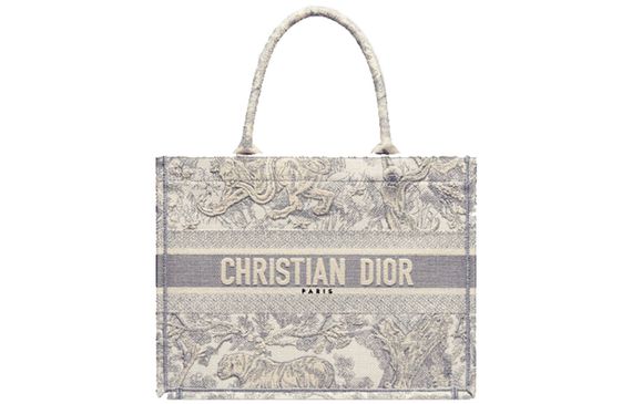 DIOR BookTote Tote