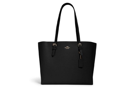 COACH Mollie 34 Logo Tote