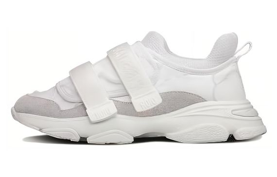 DIOR D-Wander
