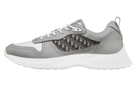 DIOR B25 Oblique