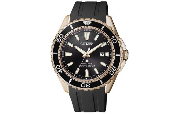 CITIZEN Promaster 200 PU 44.5mm BN0193-17E