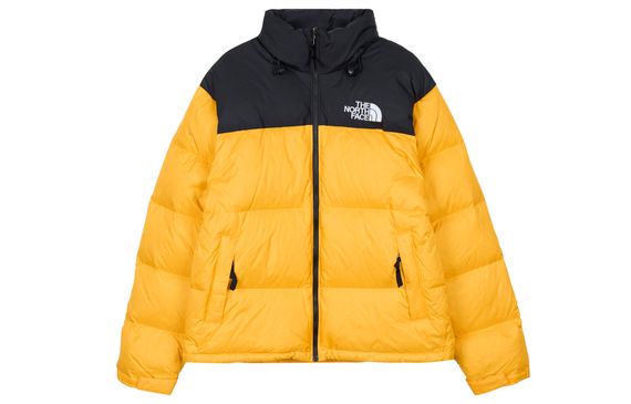 THE NORTH FACE 1996 ICON 700