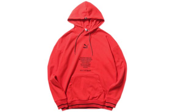 Puma TFS Hoodie logo